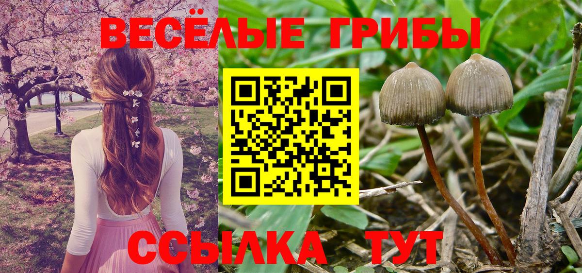 Псилоцибиновые грибы мухоморы Дзержинск