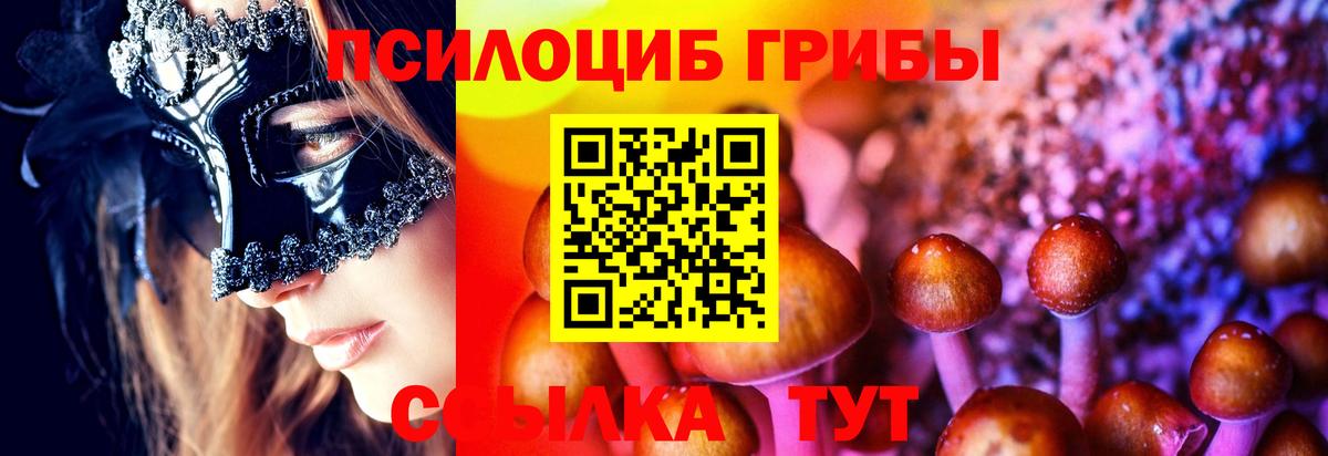 Псилоцибиновые грибы Psilocybine cubensis  Псилоцибиновые грибы мицелий  Дзержинск  Вход с VPN 